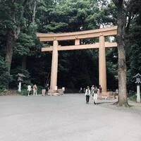 画像290