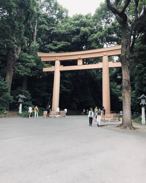 画像290